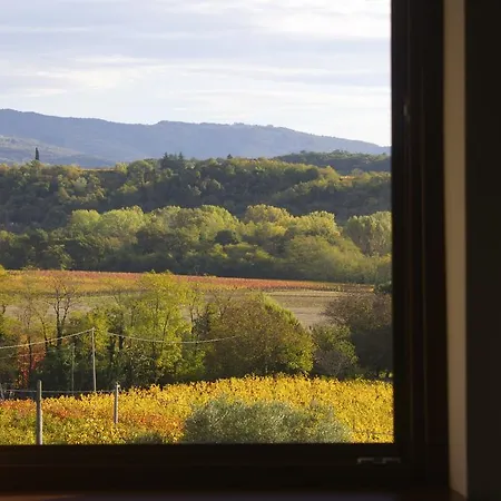 Gigante Wine & Welcome * Corno di Rosazzo