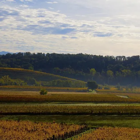 Gigante Wine & Welcome Corno di Rosazzo