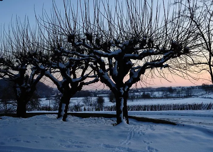 Gigante Wine & Welcome * Corno di Rosazzo