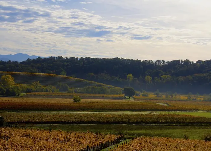 Gigante Wine & Welcome Corno di Rosazzo